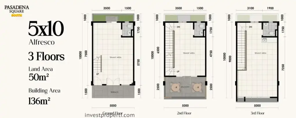 Denah Pasadena Square South Paramount Serpong 5x10 Alfreso